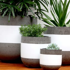 Sticks and Stones Outdoor - Cement Pot Plants