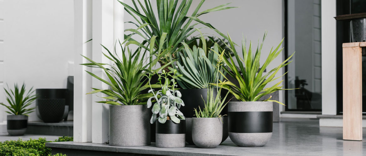 Sticks and Stones Outdoor Pots Collection